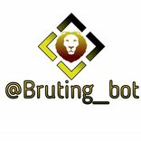 bruting_bot