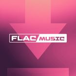 downloader_flac_bot
