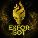 exfor_team_bot