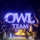 owlteam_bot
