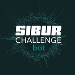 siburchallenge2019bot