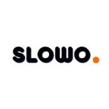 Slowonetbot
