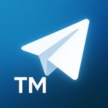 TeleManagerTGBot