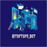 toptgpr_bot