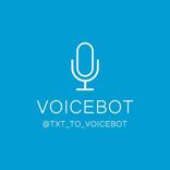 txt_to_voicebot