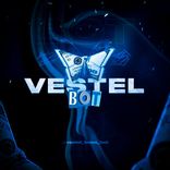 vestel_team_bot